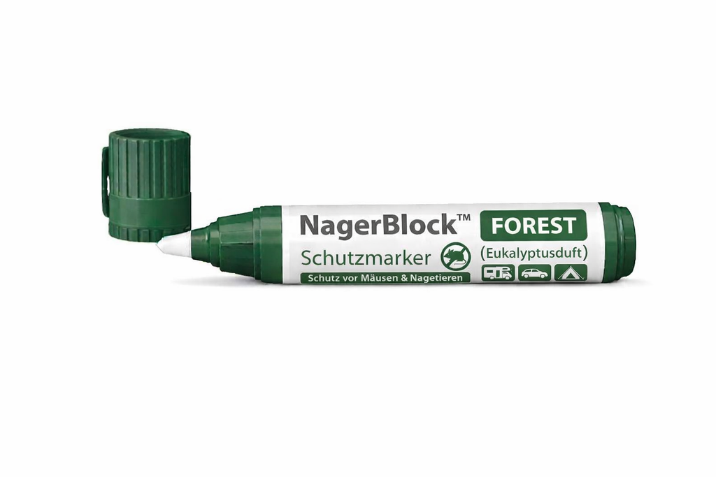 Forest (Eukalyptus)